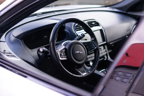 كازينو تريجر مايل تطبيق أندرويد/آي أو إس